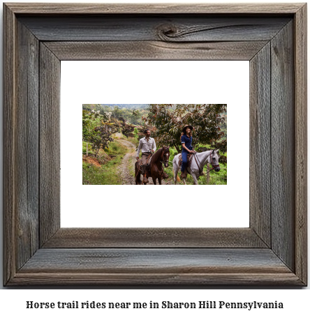 horse trail rides near me in Sharon Hill, Pennsylvania